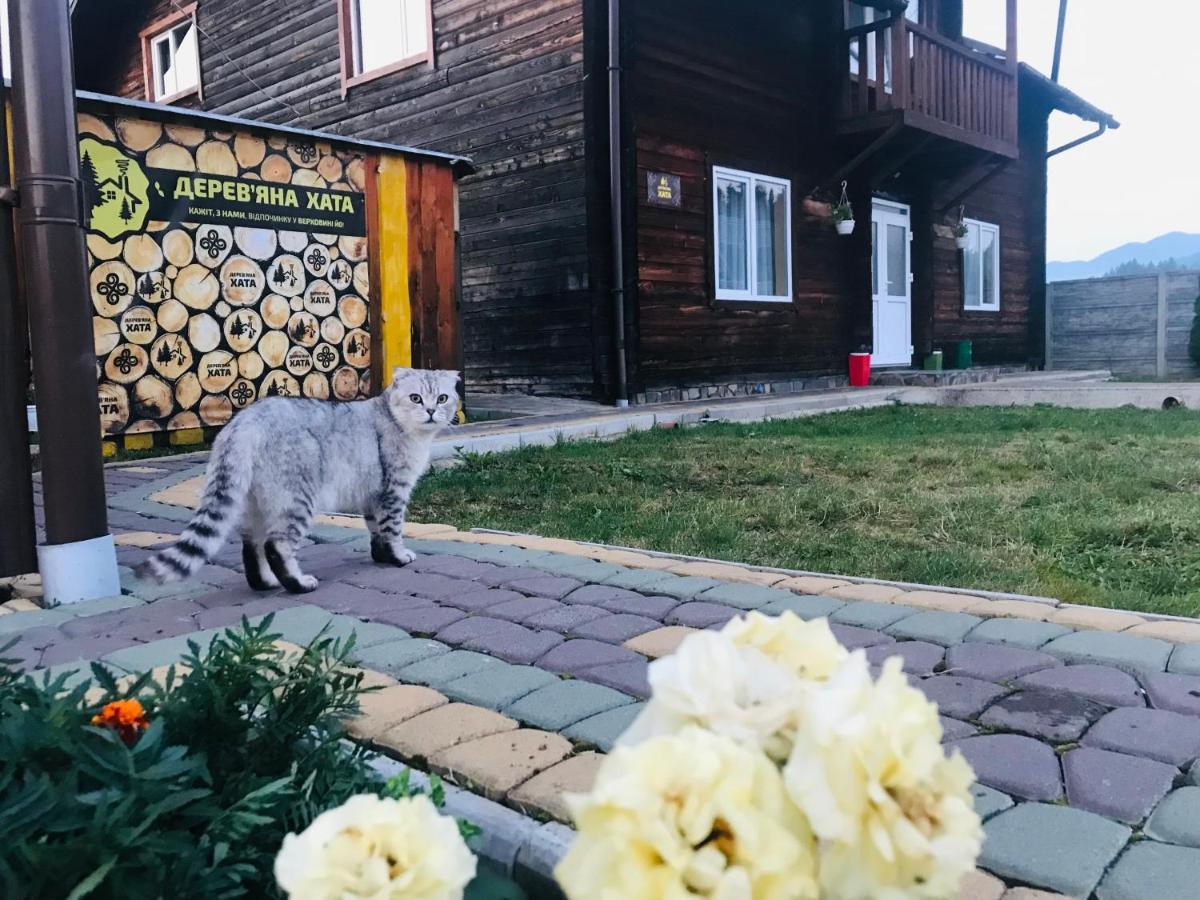 Садиба Дерев*Яна Хата Verkhovyna Eksteriør billede